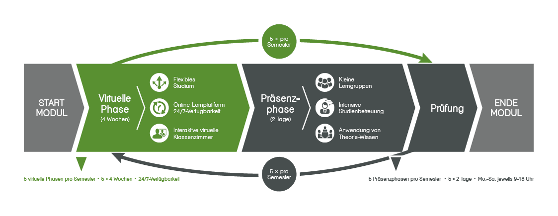 Mechanismus des semi-virtuellen Studienkonzepts der HSSH